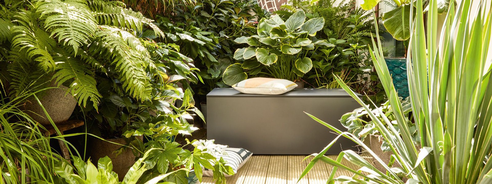 CONMOTO El Pecho Slide background